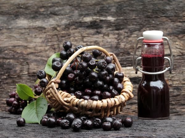 NAJZDRAVIJI NAPITAK IKADA Napravite domaći sirup od aronije Stvar ukusa