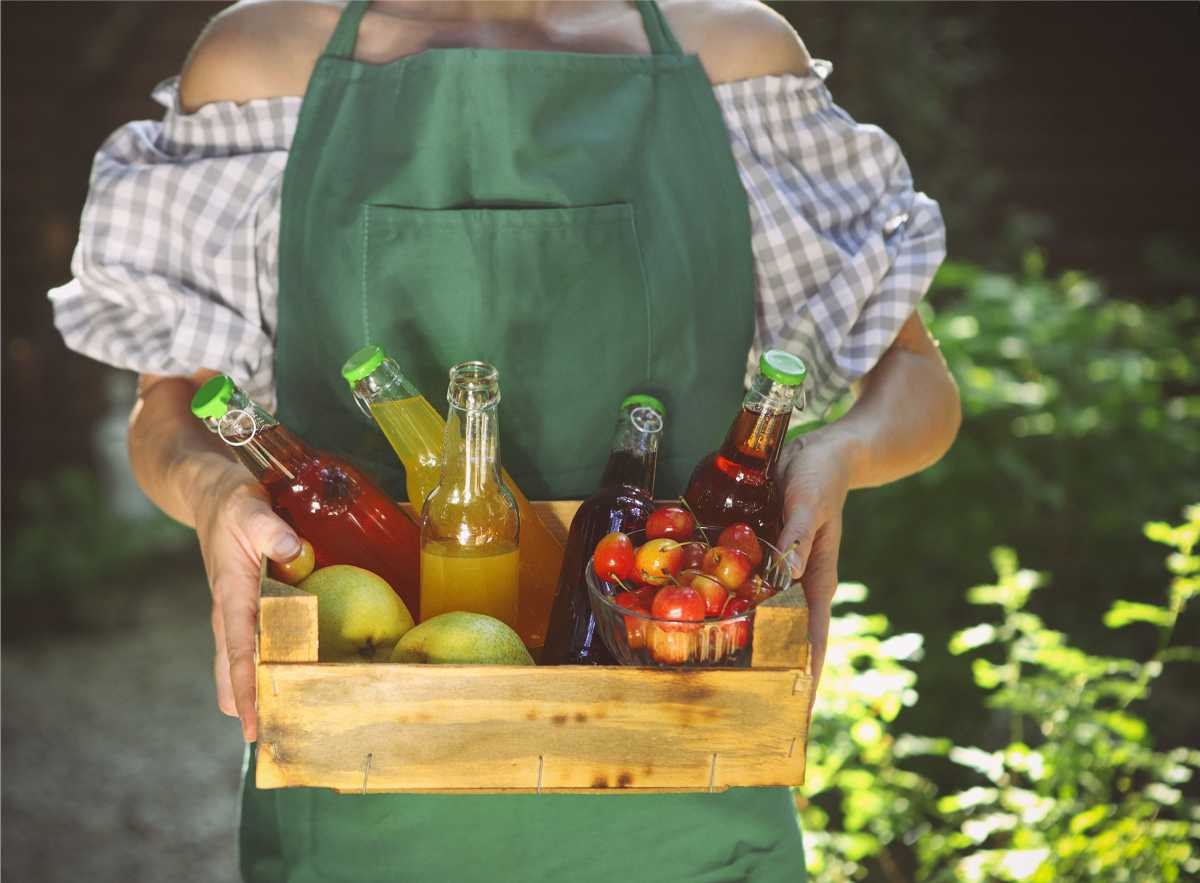 Trikovi za pripremu domaćih sokova koje treba da znate Stvar ukusa