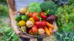 Kako da voće i povrće duže ostane sveže 1691372455