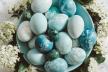 Prirodno farbanje jaja borovnicom