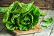 Kako se pravilno čisti zelena salata