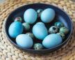 Farbanje jaja borovnicom