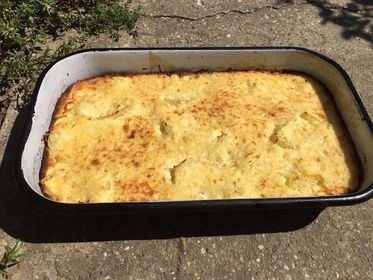 Paprike punjene krompirom i pavlakom