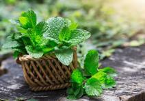 Za šta je sve dobra nana 1055218406