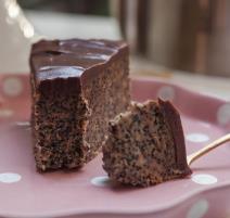 Plazma torta sa makom