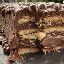 Čokoladna torta sa plazmom