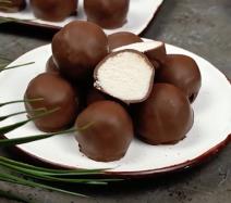Čokoladne kuglice sa kokosom
