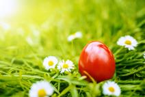 Šta simbolizuje čuvarkuća i zašto se farba prvo