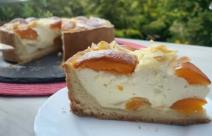 Torta sa kajsijama