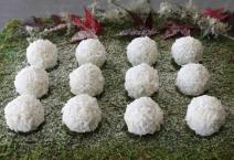 Kuglice od kokosa, keksa i čokolade