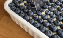 tiramisu sa borovnicama