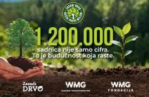 Kurir web Zasadi drvo