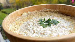 Pileća susam salata.png