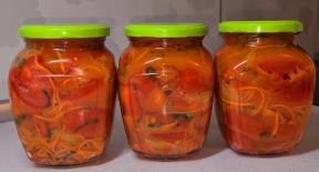 Mešana salata od povrća