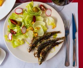 sardine