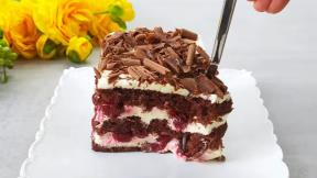 Recept za najbolju tortu sa višnjama