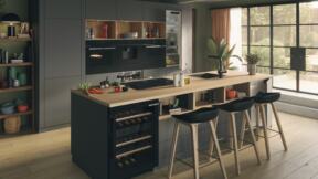 bosch3.jpg