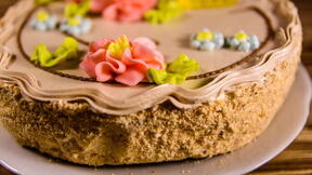plazma torta sa zele bombonama