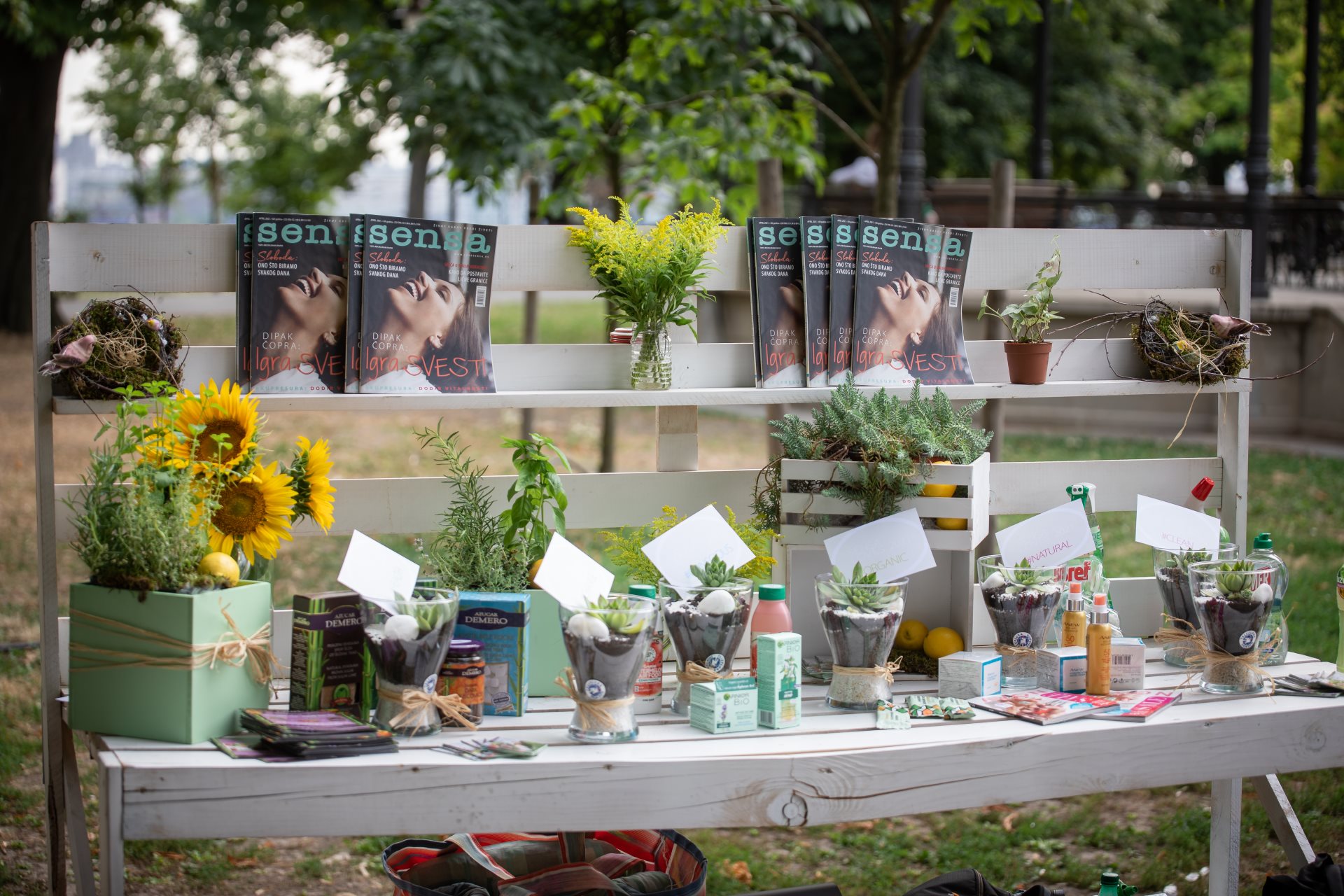 sensa piazzetta srece 2021 kalemegdan