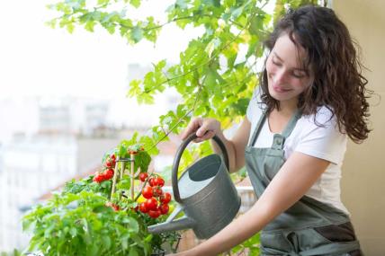 Evo šta vam je potrebno: Ovo voće i povrće možete gajiti na terasi