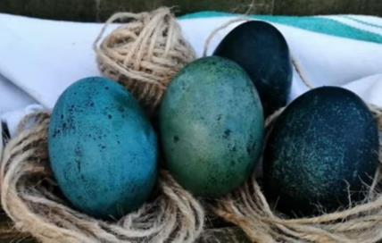 Prirodno farbanje jaja pomoću kupusa