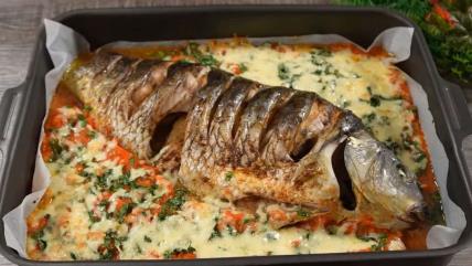 Šaran u crvenom sosu i sa sirom