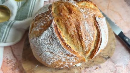 Domaći hleb po holandskom receptu