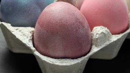 Ljubičasto jaje u kartonu