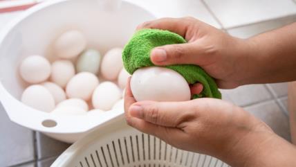 Pranje i sušenje jaja
