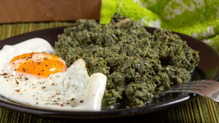 Sos od koprive na tanjiru sa pečenim jajetom