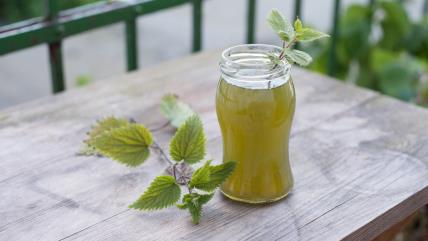 Sirup od koprive u flašici na stolu