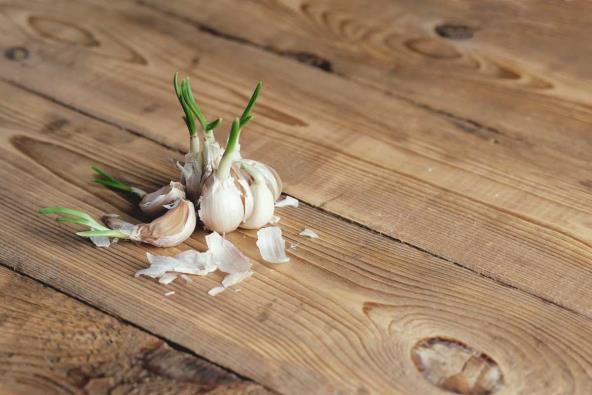 Evo zbog čega su proklijali beli luk i krompir štetni