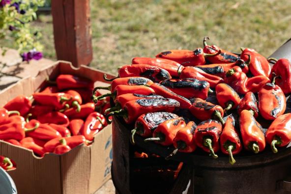 Recept za makedonski ajvar