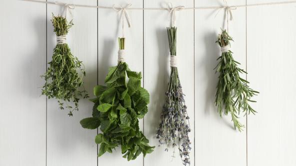 Vezano začinsko bilje okačeno da se suši