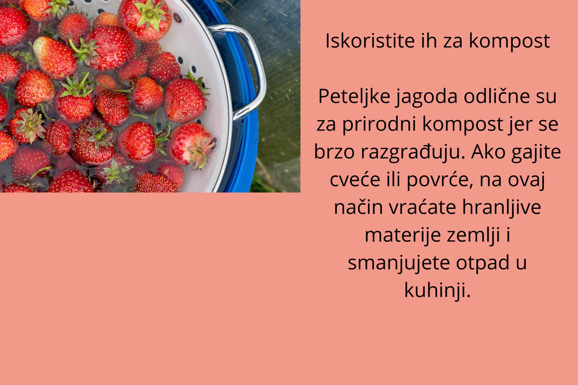 peteljke jagode (4).jpg